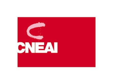 CNEAI