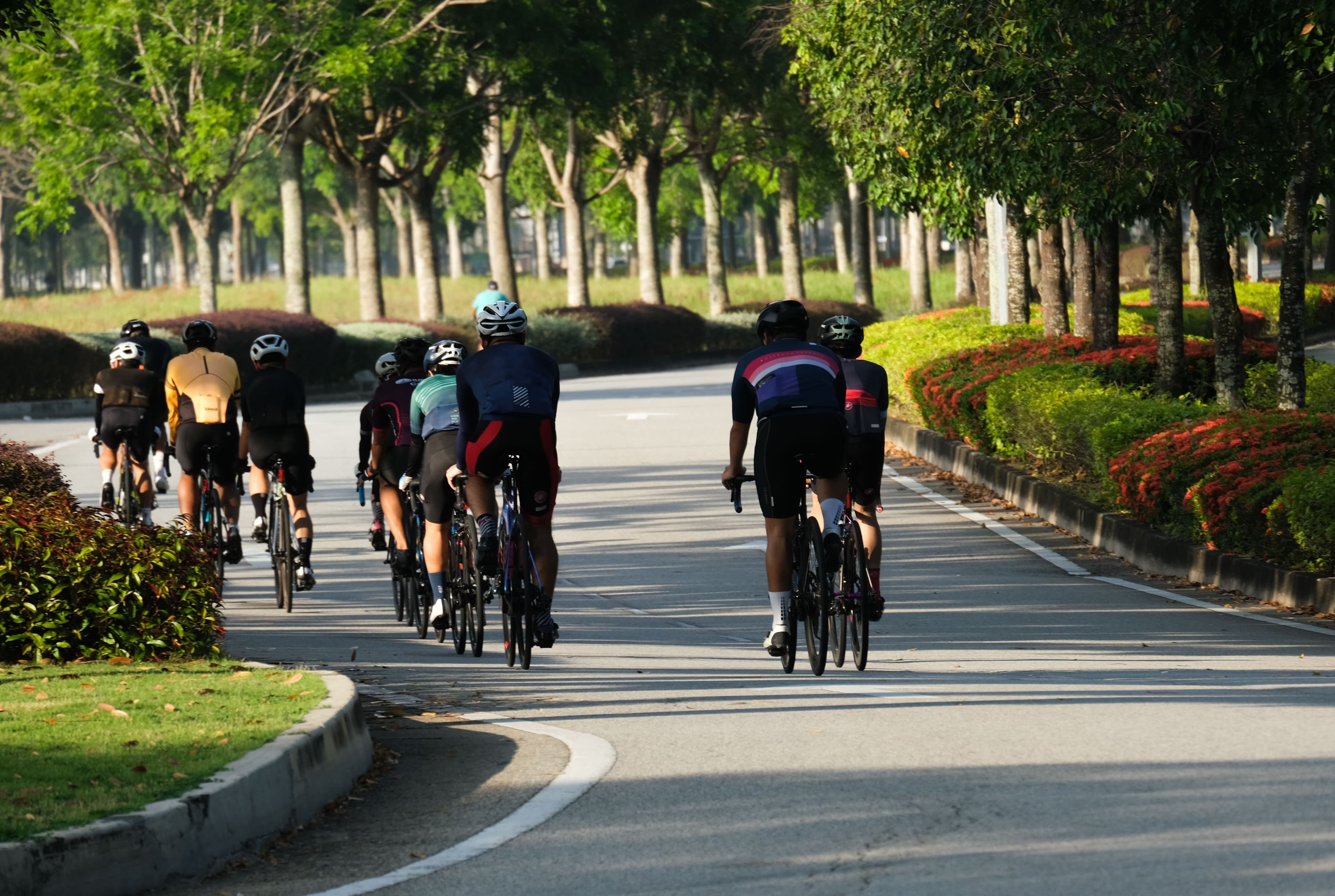 VII Congreso online de Educadores Católicos 2026 cyclists-riding-bicycles-on-road-lined-with-trees-2026-09-23-06-32-34-utc VII Congreso online de Educadores Católicos 2026 Estudiar en Universidad Privada Madrid